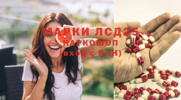 ПСИЛОЦИБИНОВЫЕ ГРИБЫ Волоколамск
